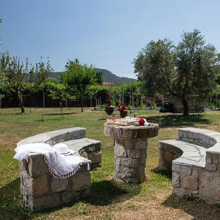סיקיה Villa Tsitreli מראה חיצוני תמונה