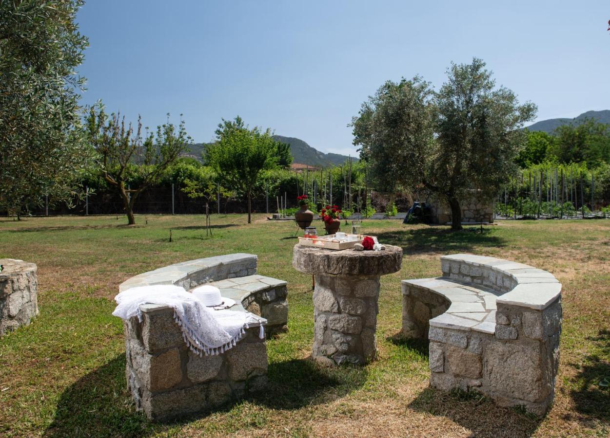 סיקיה Villa Tsitreli מראה חיצוני תמונה