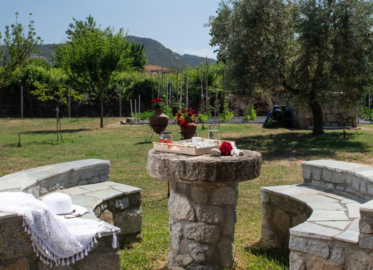 סיקיה Villa Tsitreli מראה חיצוני תמונה