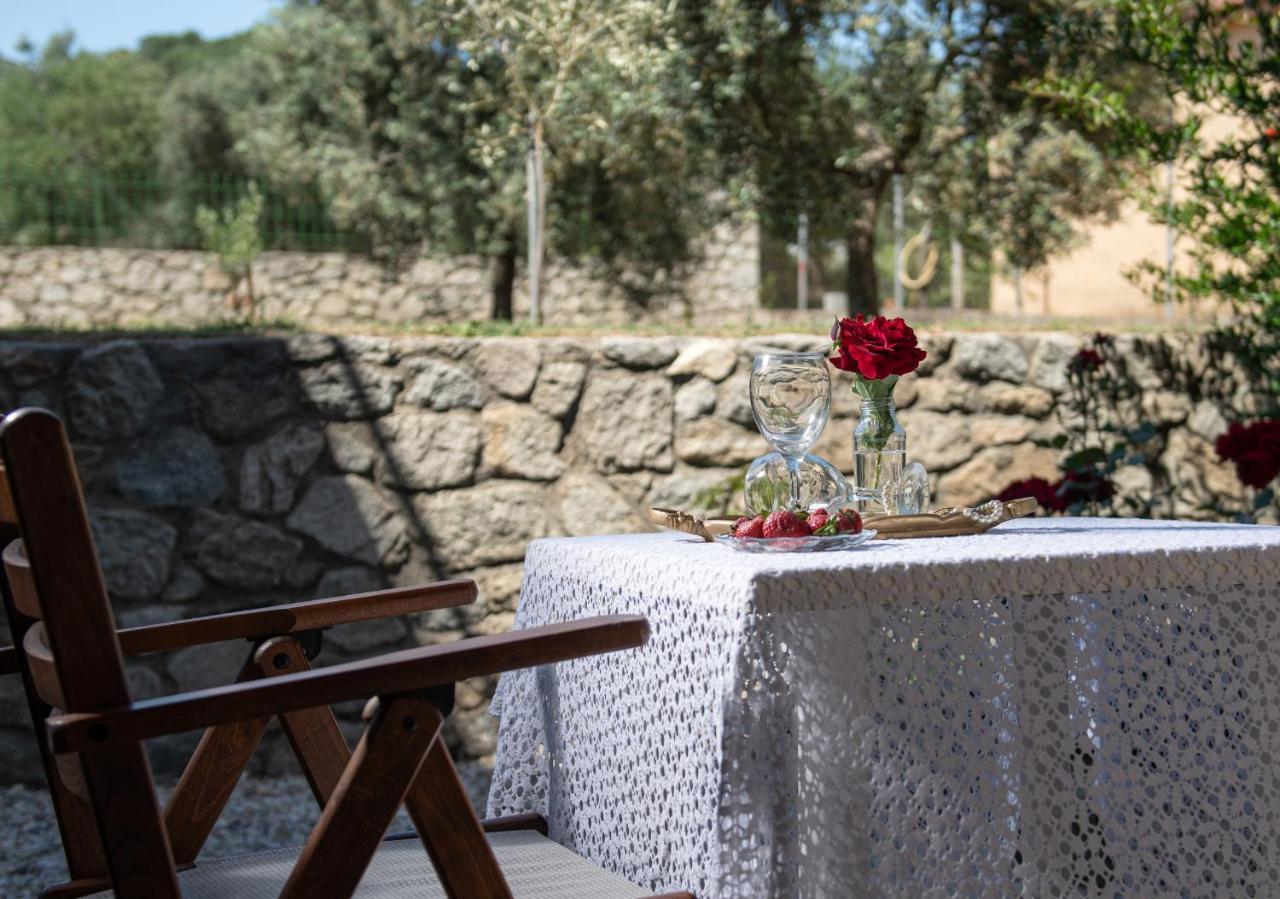 סיקיה Villa Tsitreli מראה חיצוני תמונה