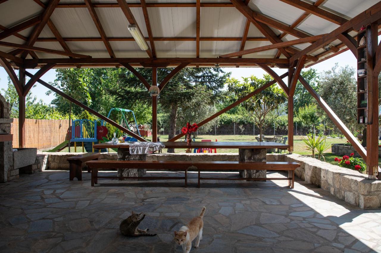 סיקיה Villa Tsitreli מראה חיצוני תמונה