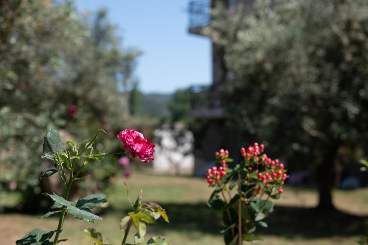 סיקיה Villa Tsitreli מראה חיצוני תמונה