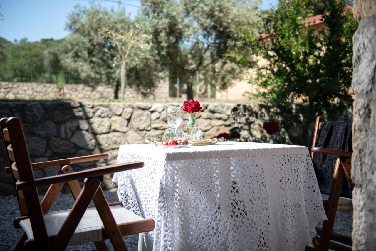 סיקיה Villa Tsitreli מראה חיצוני תמונה