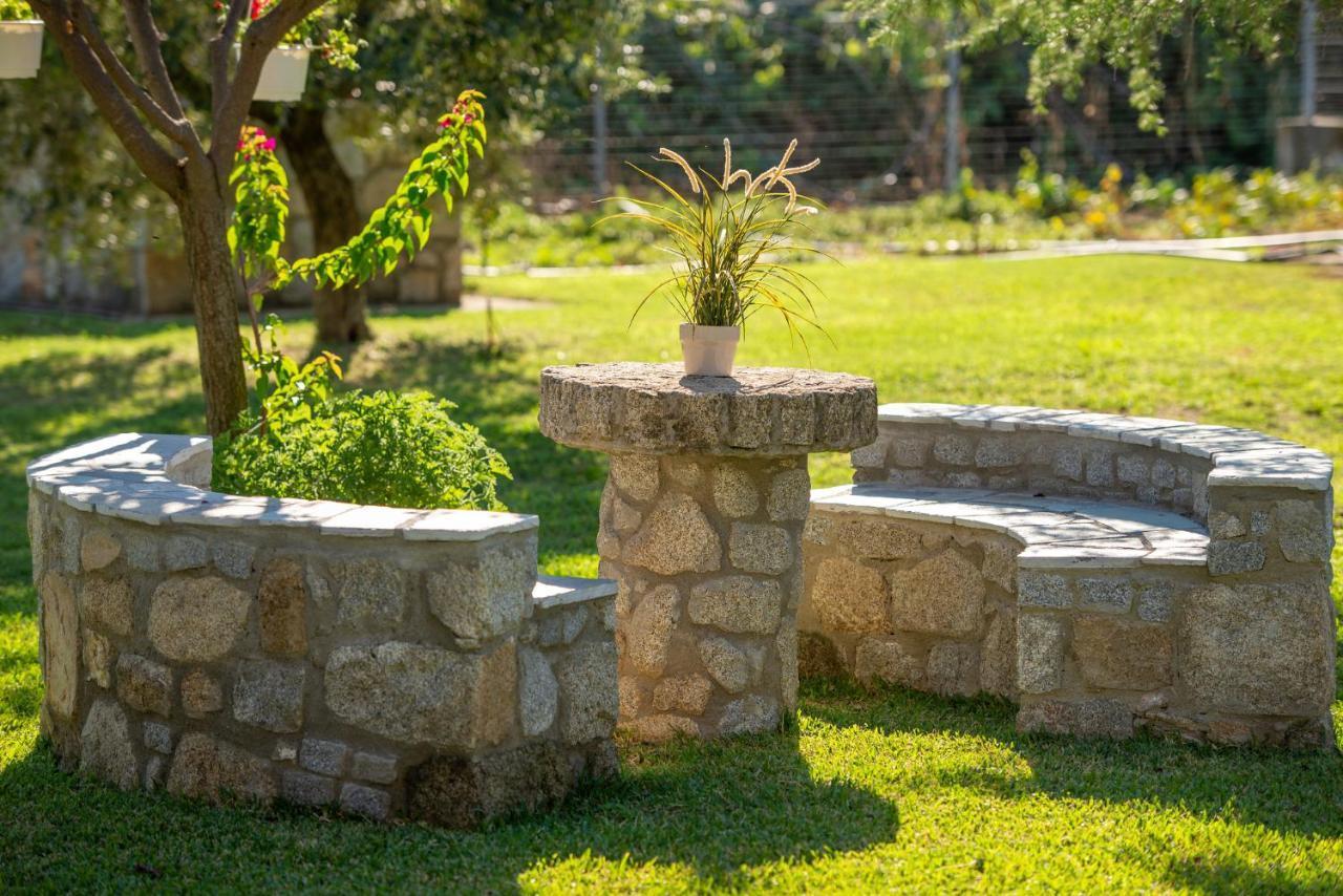 סיקיה Villa Tsitreli מראה חיצוני תמונה